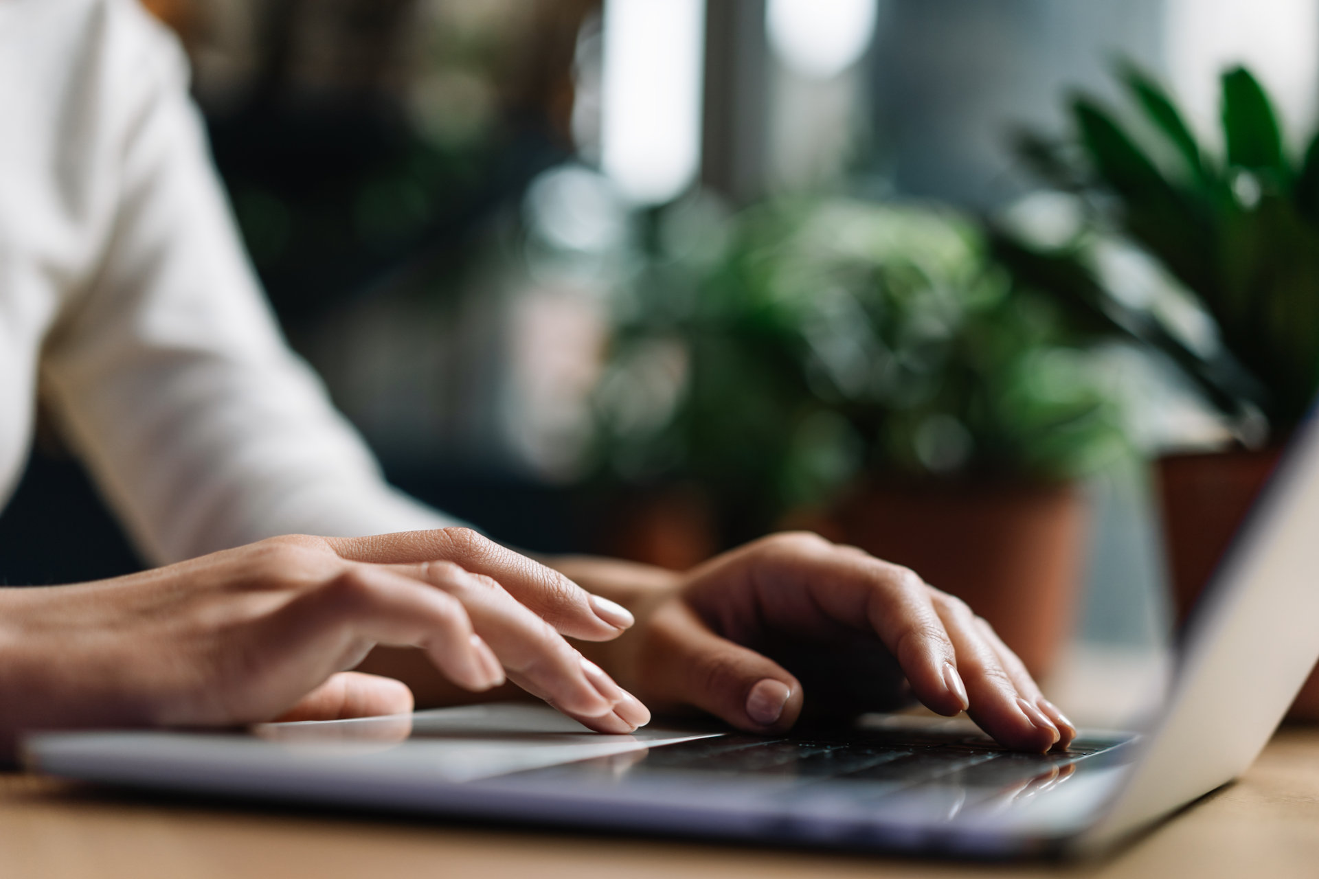 Cloud Solo Vs. Office 365 for Remote Work